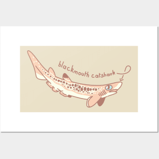 blackmouth catshark Posters and Art